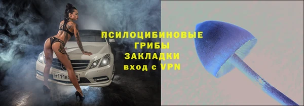 крисы Михайловка