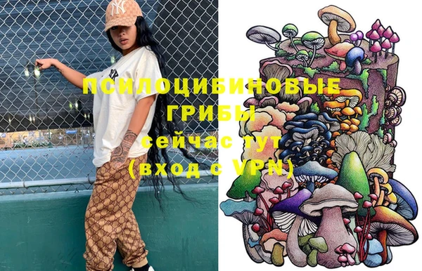 MESCALINE Михайловск