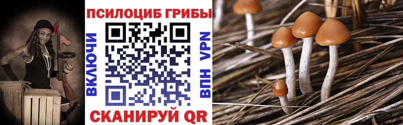 Галлюциногенные грибы мухоморы  Энем 